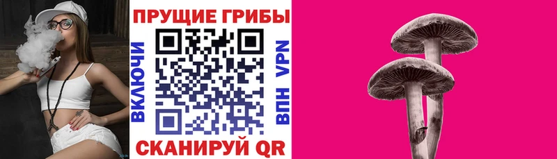 Галлюциногенные грибы Magic Shrooms  Челябинск 